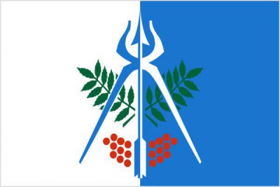 Флаг города Ижевск