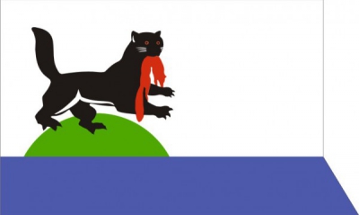Флаг города Иркутск