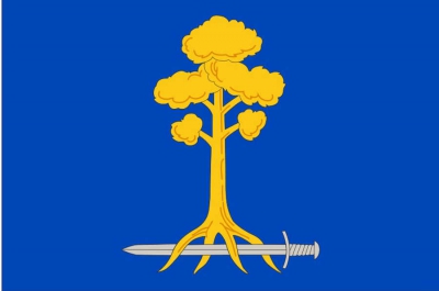 Флаг город Сертолово Ленинградской области