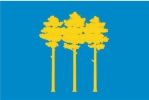 Флаг города Димитровград Ульяновской области