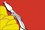 Флаг субъекта РФ Воронежская область