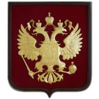 Герб страны Россия пластик на бархате, щит дерево