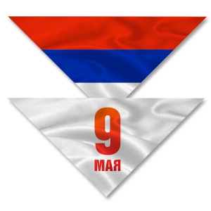 Галстуки с логотипом