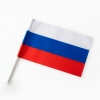 Флаг России с пластиковой трубочкой