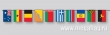Флажная лента с флажками стран мира, флаг 22х15 см