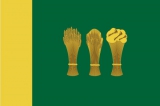 Флаг города Пенза